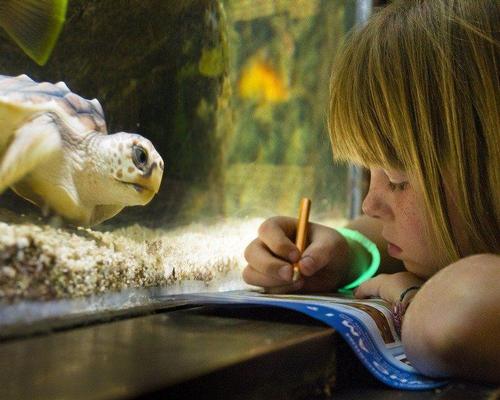 A guest takes part in a scavenger hunt at the National Aquarium, Baltimore, Maryland