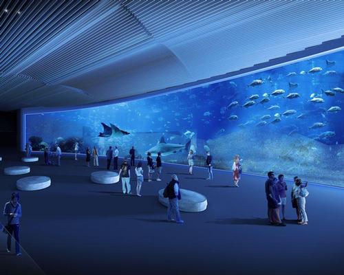 The aquarium features the world’s largest curved window exposition, which at 36m (118ft) long and 7.3m (24ft) high, offers a look into a vast underwater world within the aquarium
