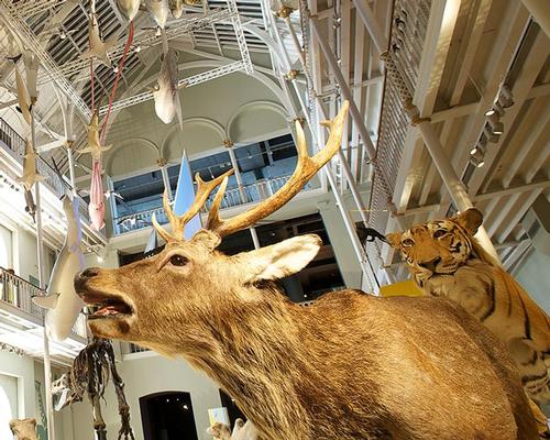 Scottish tourism’s ‘bumper year’ led by visitor attractions