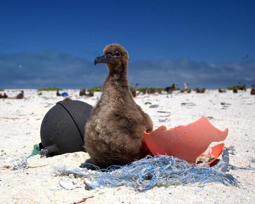 Marine pollution is a problem, with waste including plastics washing up on beaches