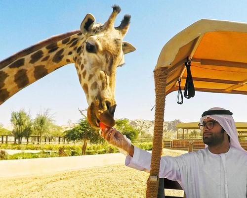 Dubai Safari to close just 6 months after opening for renovations