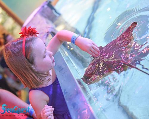 The aquarium is designed for children to go on a 'Quest of Edutainment'