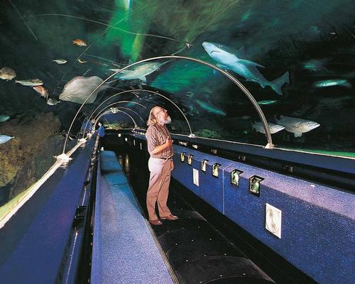 Kelly Tarlton is the innovator of the walkthrough aquarium tunnel