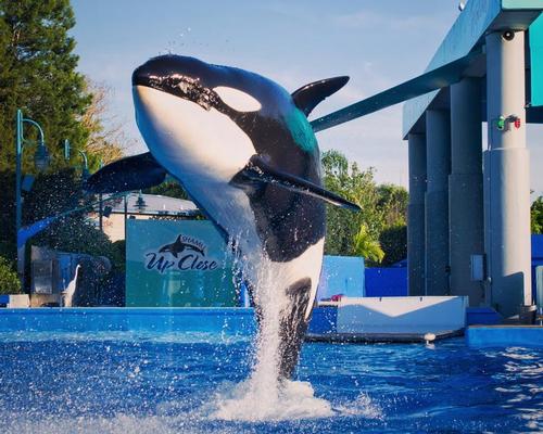 SeaWorld seems to finally be turning a financial corner
