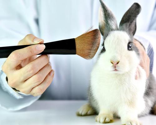 California to ban the sale of animal-tested products