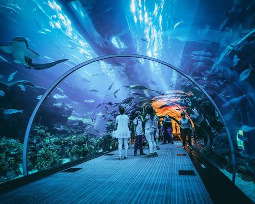 European Commission looking to partner with aquariums to fight plastic pollution
