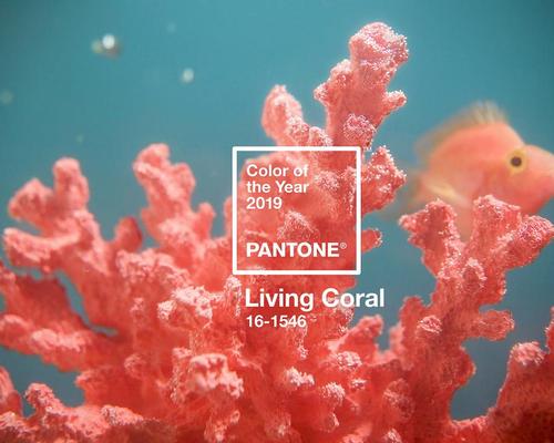 'Sociable' and 'energising' Living Coral selected as Pantone’s Colour of the Year