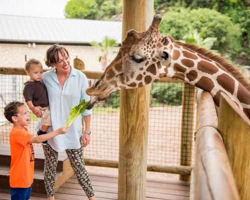 San Antonio Zoo has active wildlife conservation and education programmes