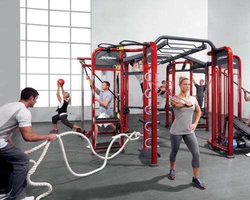 The Life Fitness portfolio includes five equipment brands