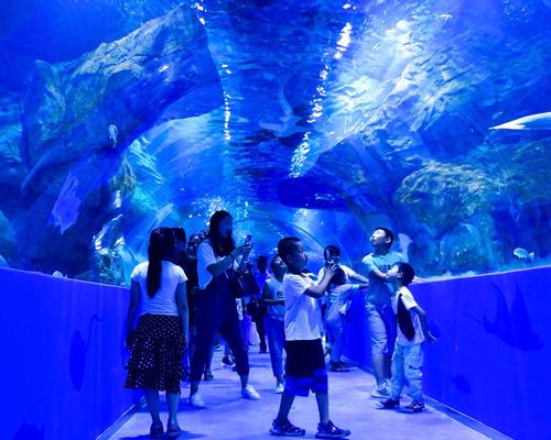 Visitors to the Xining aquarium, pictured on opening day (18 August)