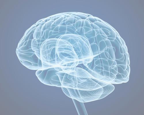 New York’s Blum Center offers brain optimisation programme 