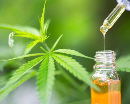 ISPA’s US Spa Study: cannabidiol is industry’s next big thing, say 43 per cent of respondents 