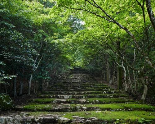 The 80-acre Aman Kyoto site comprises 72 acres of permanent forest and eight acres of impeccably kept gardens play a starring role at the resort