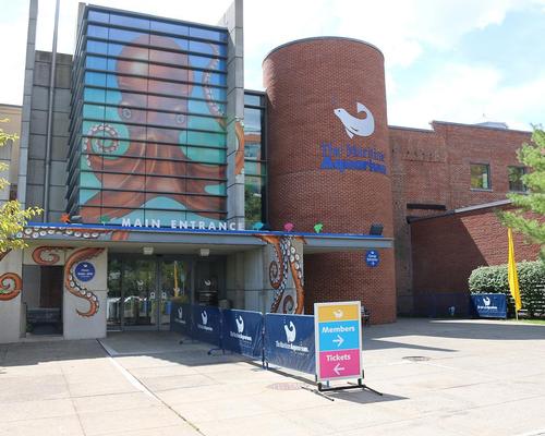 The aquarium is among Connecticut's most-visited tourist attractions