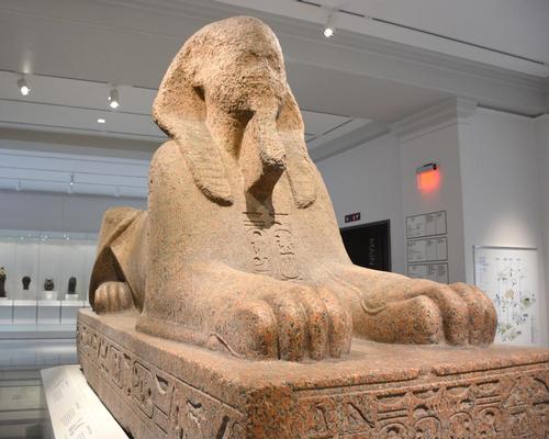 A Sphinx of Pharaoh Ramses II is on display in the Penn Museum's new entrance