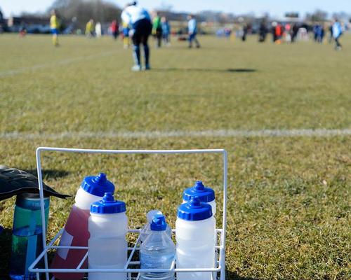 Sport England's playfield protection measures 'working in most cases'
