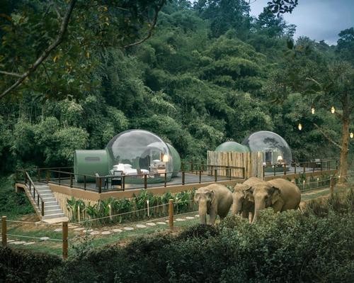 The bubbles are raised up onto wooden platforms to provide the best possible views of passing elephants