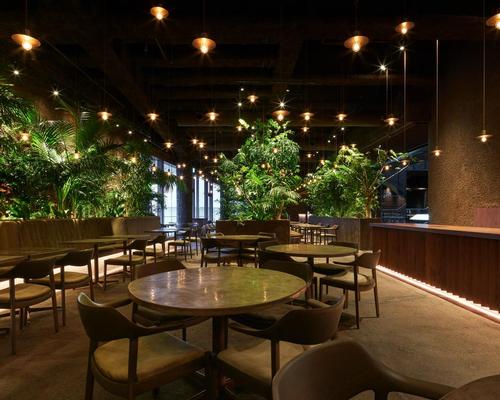ATTA's forest-like restaurant reminds us where food comes from