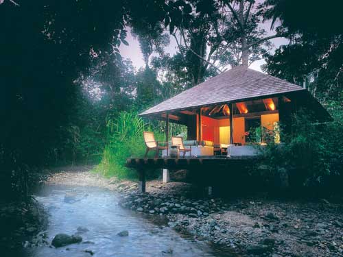 The resort's spa is integrated into the surrounding tropical rainforest / 