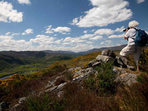 Studies reveal 'true value' of UK's nature