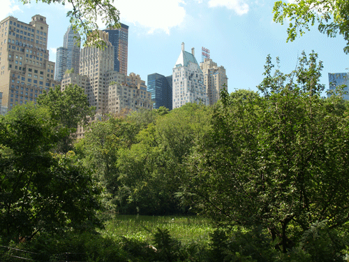 New York parks to become smoke-free zones