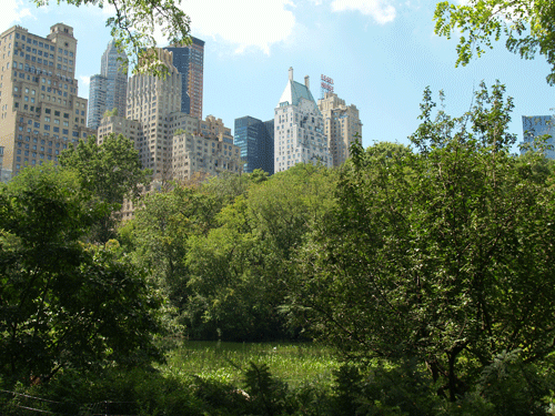 Central Park will become a smoke-free zone under the new laws