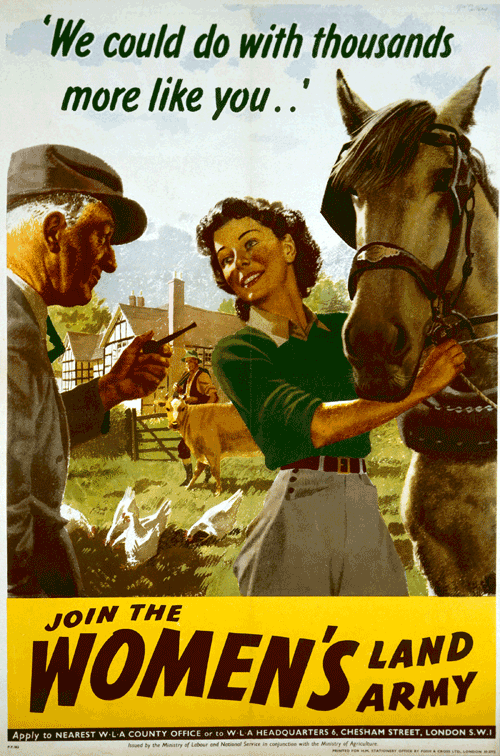 Women at war exhibition opens