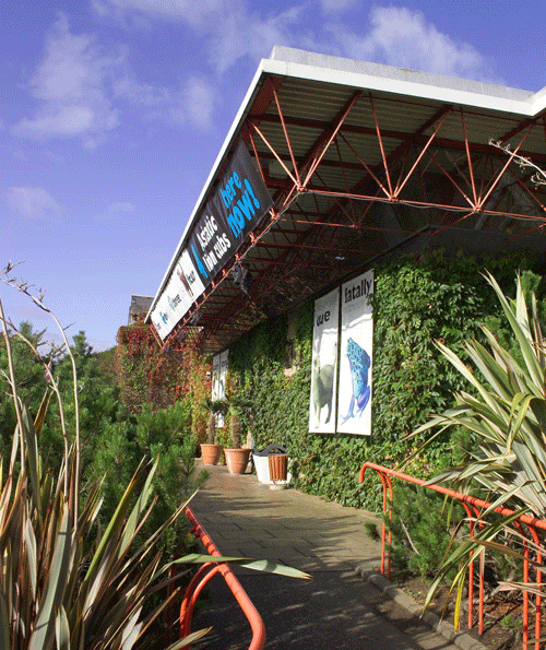 Edinburgh Zoo nets environmental award