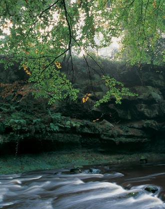 Public consultation on Roslin Glen management plan