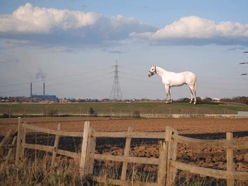 Kent horse sculpture plans submitted