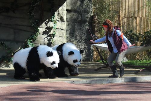 Life-size animatronic pandas entertain young guests 