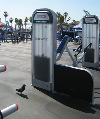 Refresh for LA’s muscle beach