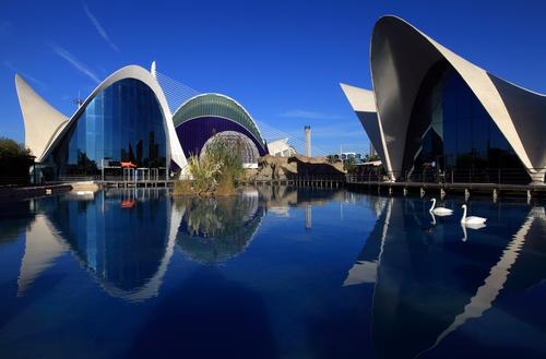 The complex consists of L'Agora, a multi-functional space, and L'Oceanographic, which first opened in 2003 / Shutterstock.com/Lago The complex consists of L'Agora, a multi-functional space, and L'Oceanographic, which first opened in 2003 / Shutterstock.com/Lago