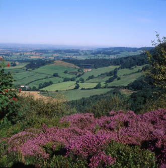Protection for Howardian Hills proposed