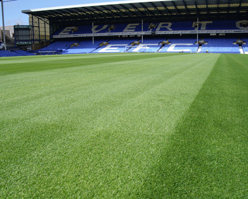 BSH colouring Everton up for television