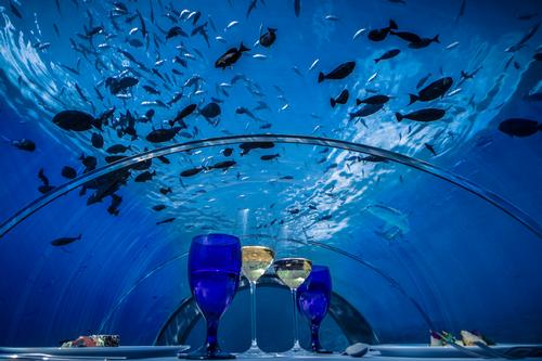 Diners can enjoy a meal under the sea / Crown & Champa Resorts