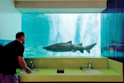 The unique aquarium even includes bathroom fittings to allow a view of the aquarium’s shark tanks through the counters and sinks. 
