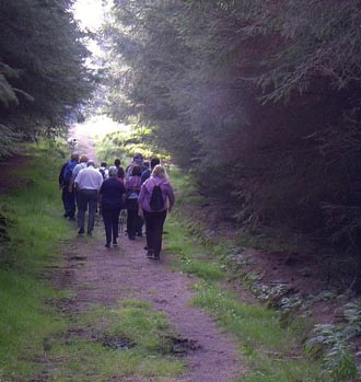 Free fitness sessions for walkers