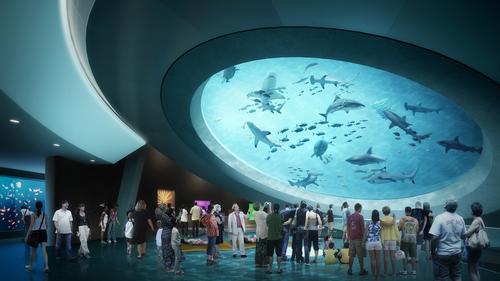 A main part of the museum will be a 510,000 gallon aquarium / Frost Museum of Science