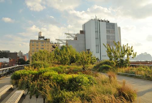 The museum's outdoor space overlooks New York's High Line / Flickr.com/Steven Severinghaus