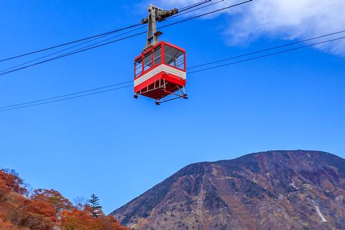 The cable car will run 9km between Neranwood and Springbrook / Shutterstock.com