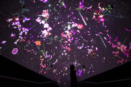 Entering at the top of the three-storey structure, visitors enter through a dark room projecting falling petals across the ceiling