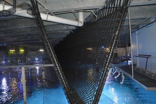 The rope bridge hovers inches above the shark-infested waters / Newport Aquarium 