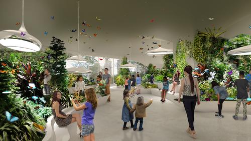 The new Butterfly Vivarium will feature a variety of opportunities to encounter live butterflies and observe their behaviours in various 'environments,' including a meadow and a pond