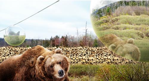 Visitors will be able to take a cable car through the 'America' segment of Zootopia / BIG 