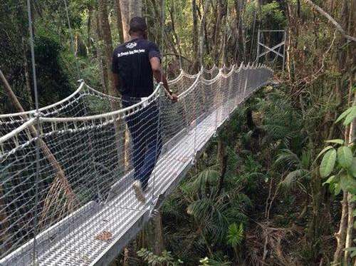 The canopy walkway is the longest in Africa and the second-longest in the world / Twitter.com/XAVieri_