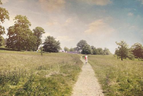 The building will be embedded in the hillside within a former gritstone quarry / Feilden Fowles