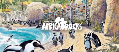 Part of the expansion includes a new habitat and breeding centre dedicated to preserving endangered African penguins