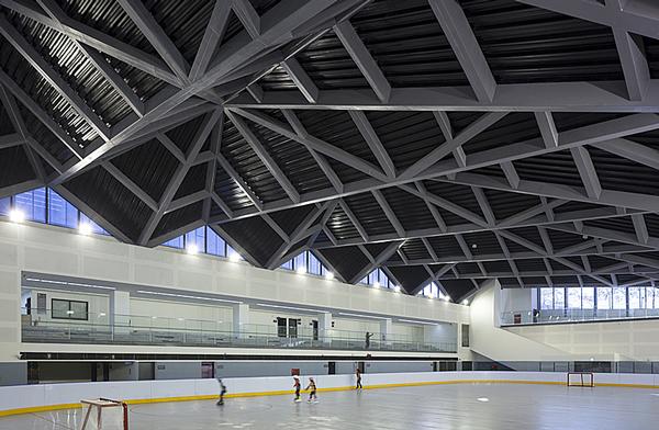 The hockey rink was buried below ground and has an undulating, load-bearing green roof above it