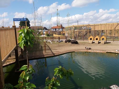 Now the pub has its zoo license, it means the Cowells can take the next steps, helping the zoo to develop into a fully functional zoological park / Fenn Bell Inn